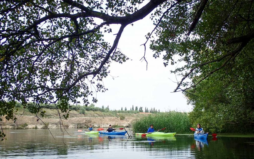 un grup de noies i nois navegant en piragua per sota els arbres al riu Ebre