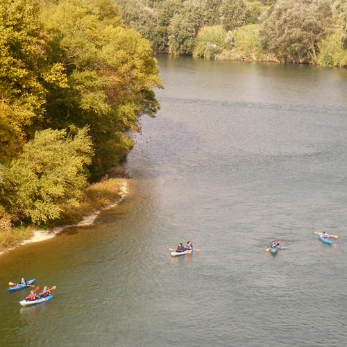 imatge aèria d'un grup de piragüistes al riu Ebre